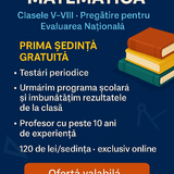 Meditatii matematica online V-VIII. Oriunde in tara